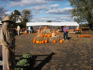Pumpkins 2005